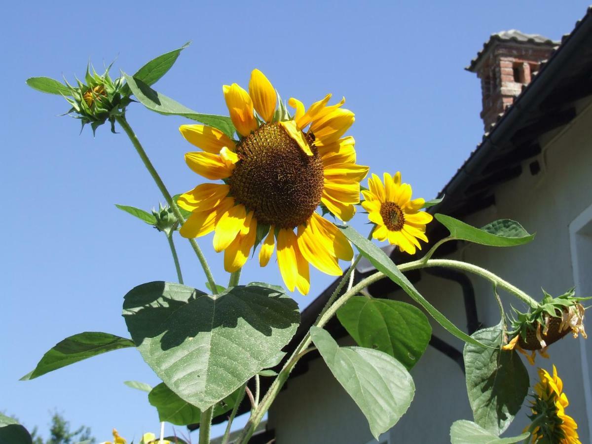 La Meridiana, Monolocale In Cascina Ristrutturata Boves Exterior foto