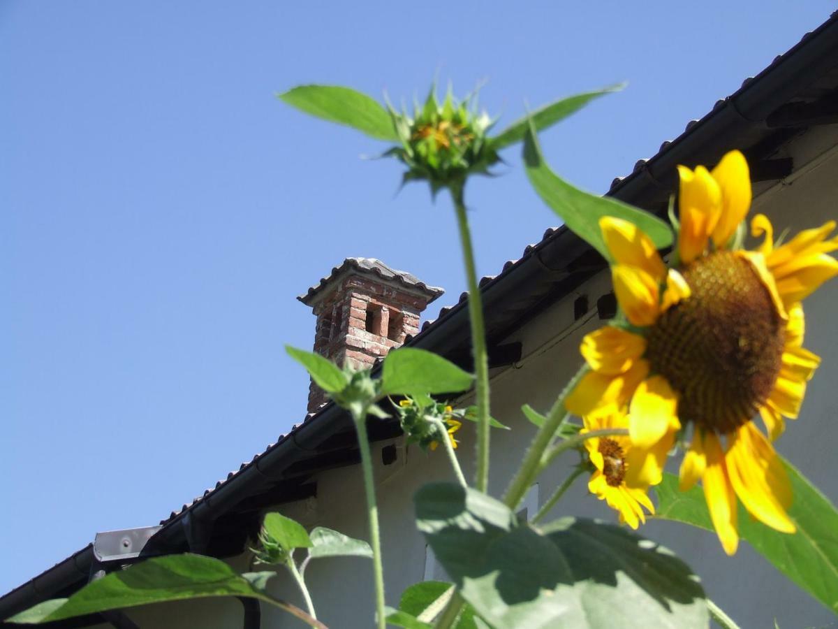 La Meridiana, Monolocale In Cascina Ristrutturata Boves Exterior foto